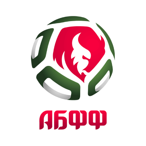 ทีมชาติเบลารุส