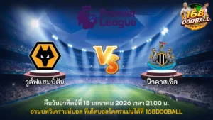 วิเคราะห์บอล วูล์ฟแฮมป์ตัน vs นิวคาสเซิ่ล
